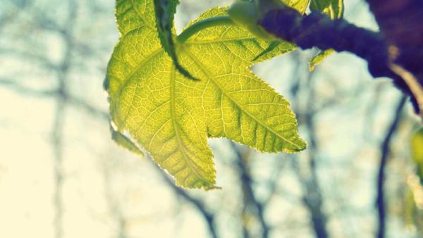 Masaj çeşitleri ve faydaları