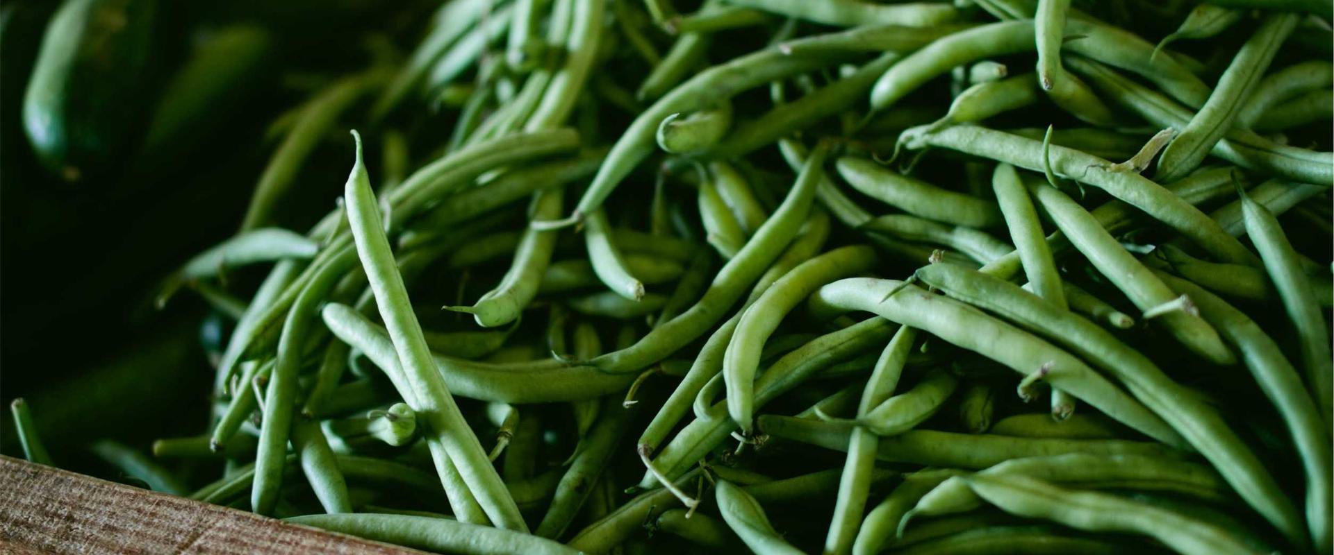 İskenderun masaj salonu Riva Masaj Spa - profesyonel masaj hizmeti