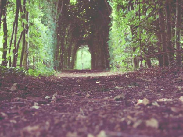 İskenderun sultan masajı - lüks spa deneyimi