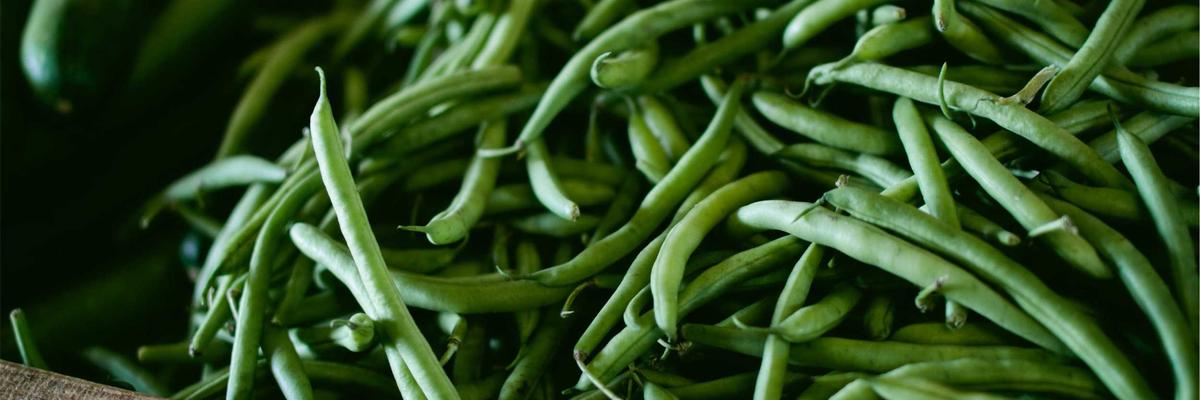 Riva Masaj Spa İskenderun spa merkezi